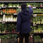 Canadians’ grocery shopping habits increasingly driven by discounts and deals: report
